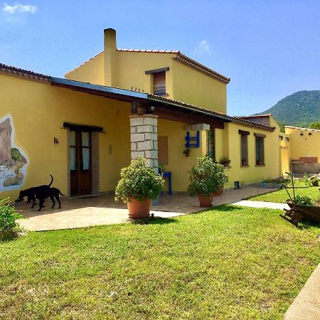 Pensjonat I Carrubi San Priamo Zewnętrze zdjęcie
